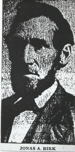 Jonas A Birk